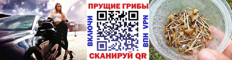 Псилоцибиновые грибы GOLDEN TEACHER Мелеуз